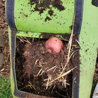 Potato Grow Bag with Harvest Window for Root Vegetables
